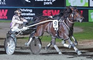 nz harness results|new zealand trotting fields.